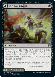 フェアリーの忌み者/Faerie Macabre [JP] – MTG通販専門 | あずきみ