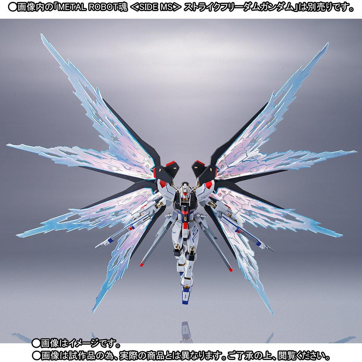 抽選販売】METAL ROBOT魂 ＜SIDE MS＞ 光の翼＆ハイマットフルバースト