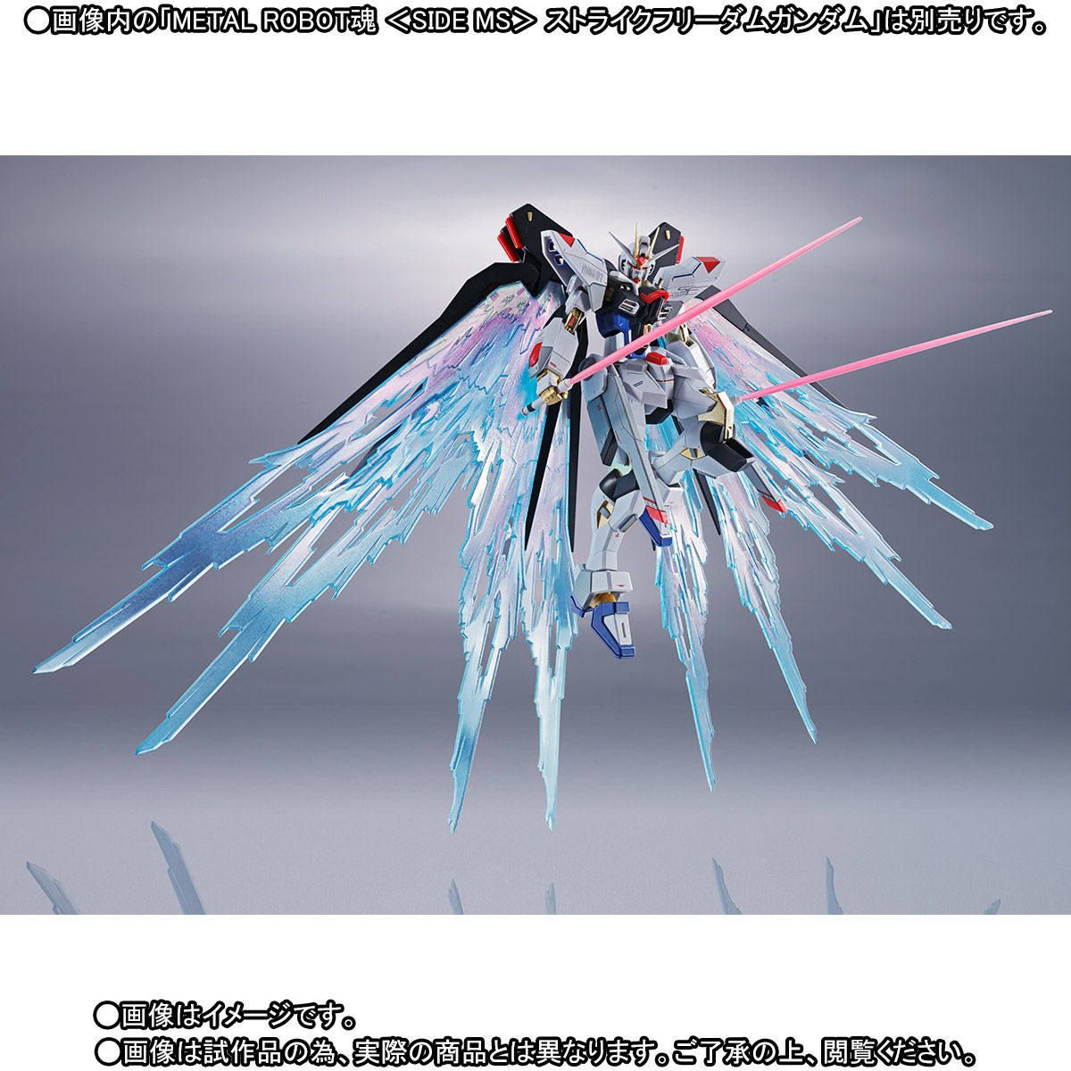 抽選販売】METAL ROBOT魂 ＜SIDE MS＞ 光の翼＆ハイマットフルバースト