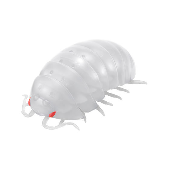 だんごむし03 フチゾリネッタイコシビロダンゴムシ編｜ガシャポン