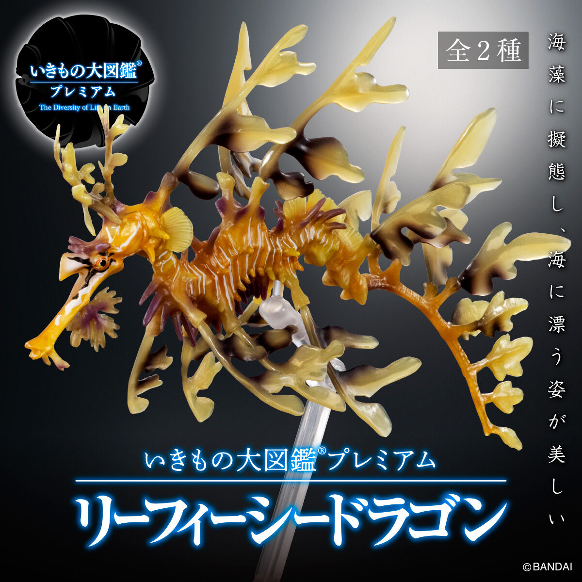 抽選販売】いきもの大図鑑プレミアム リーフィーシードラゴン