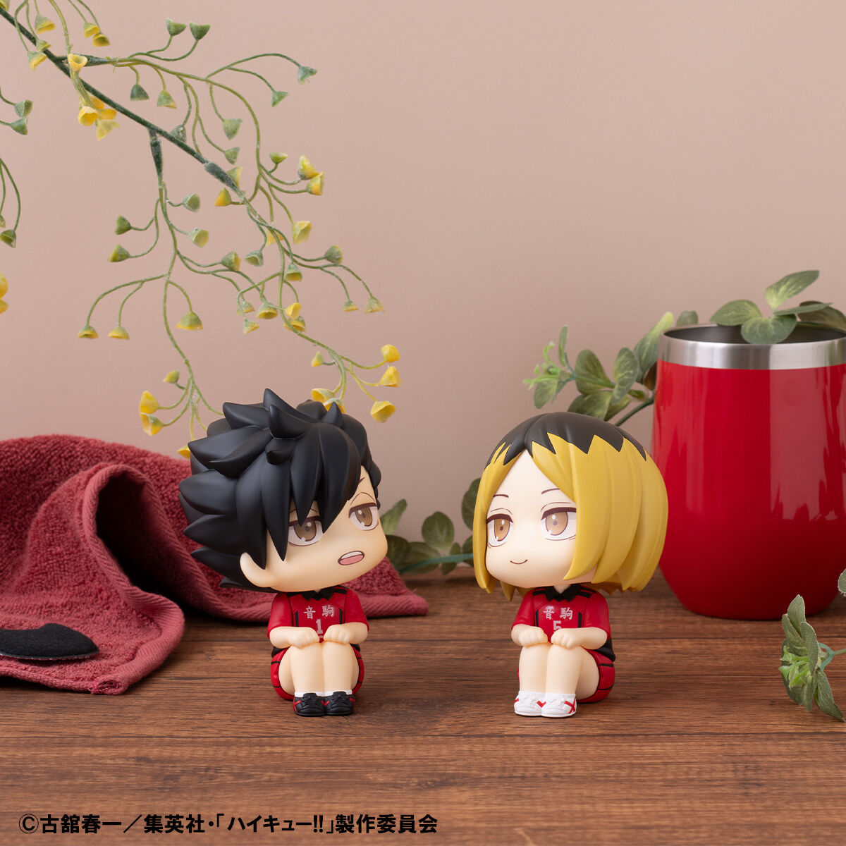 抽選販売】るかっぷ ハイキュー!! 孤爪研磨/黒尾鉄朗 ユニフォームVer