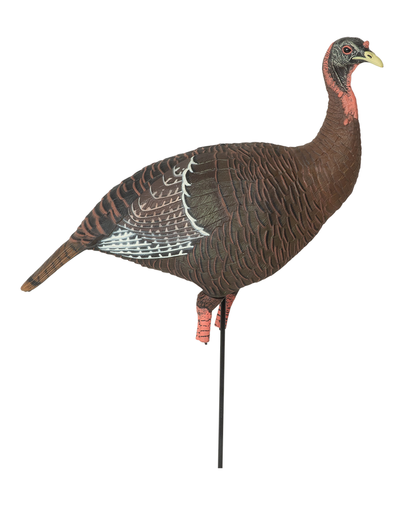 FUNNY 窪田クラフト ベルト 34インチ ハーマンオーク ターコイズクボタ