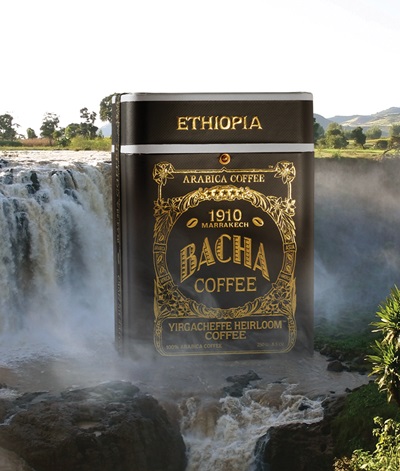 Bacha Coffee Blue Mountain 250g バシャコーヒー Blue Mountain