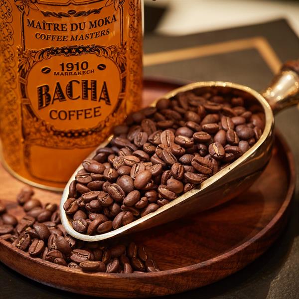 ボリビア | ヴィラ・オリエンテ コーヒー | シングルオリジン | Bacha