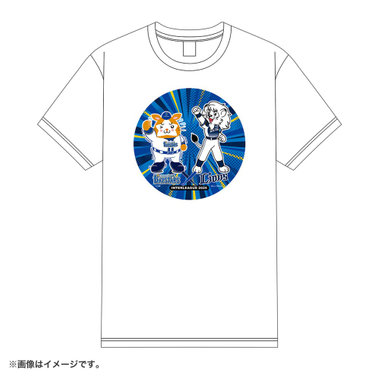 trim_fce_item684bd95288b6b.jpg