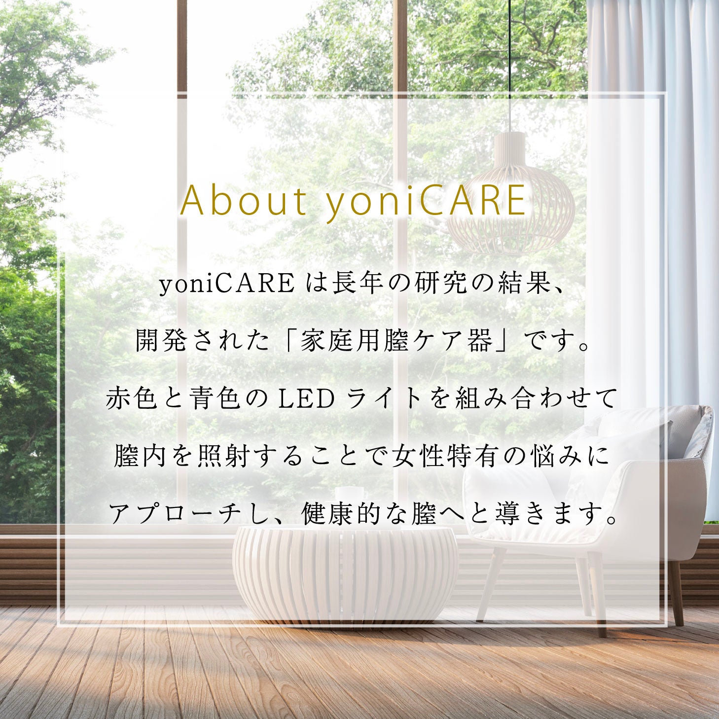 yoniCARE 家庭用膣トレ器 専用ジェル付 き ちつレーザー LED