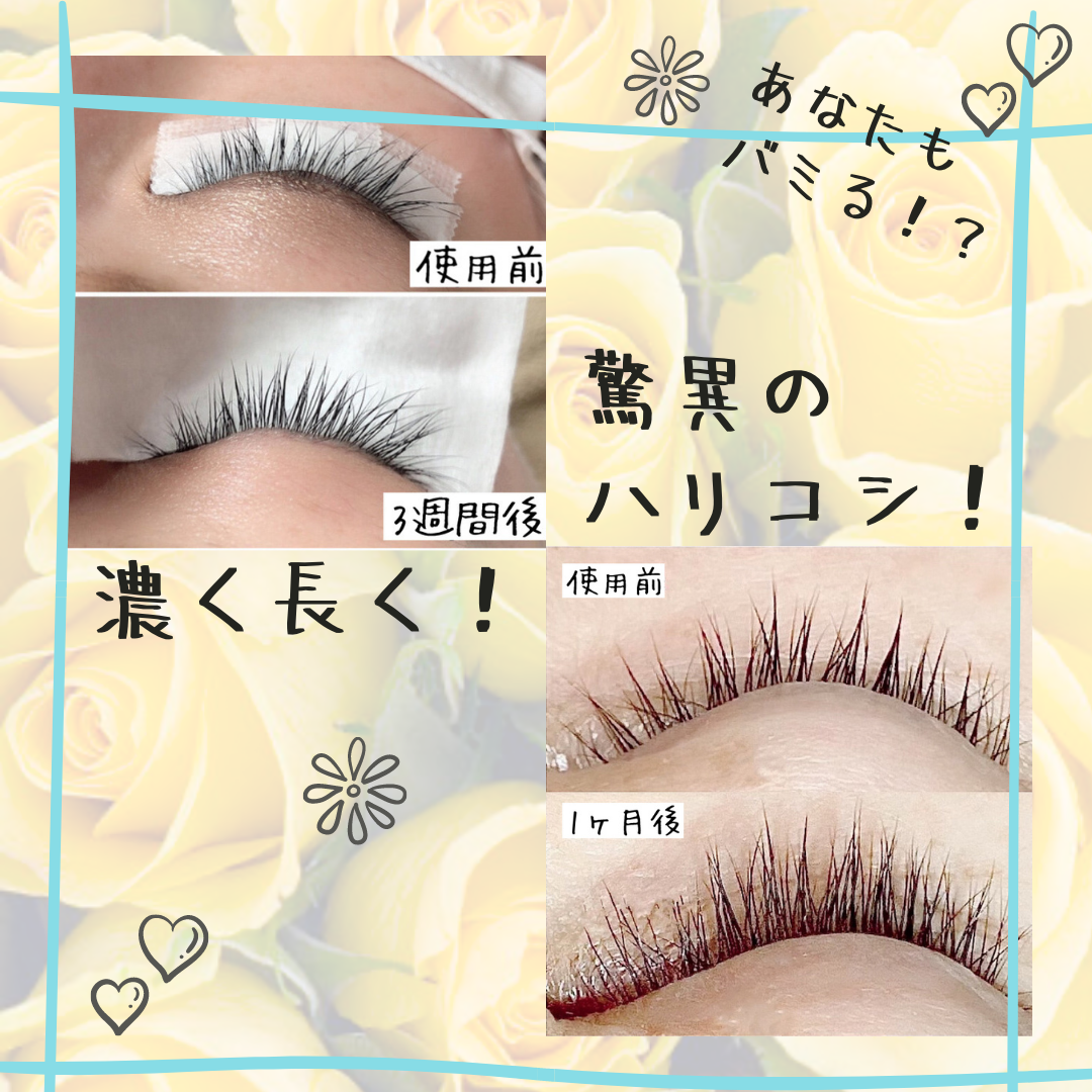 BONHEUR ボヌール