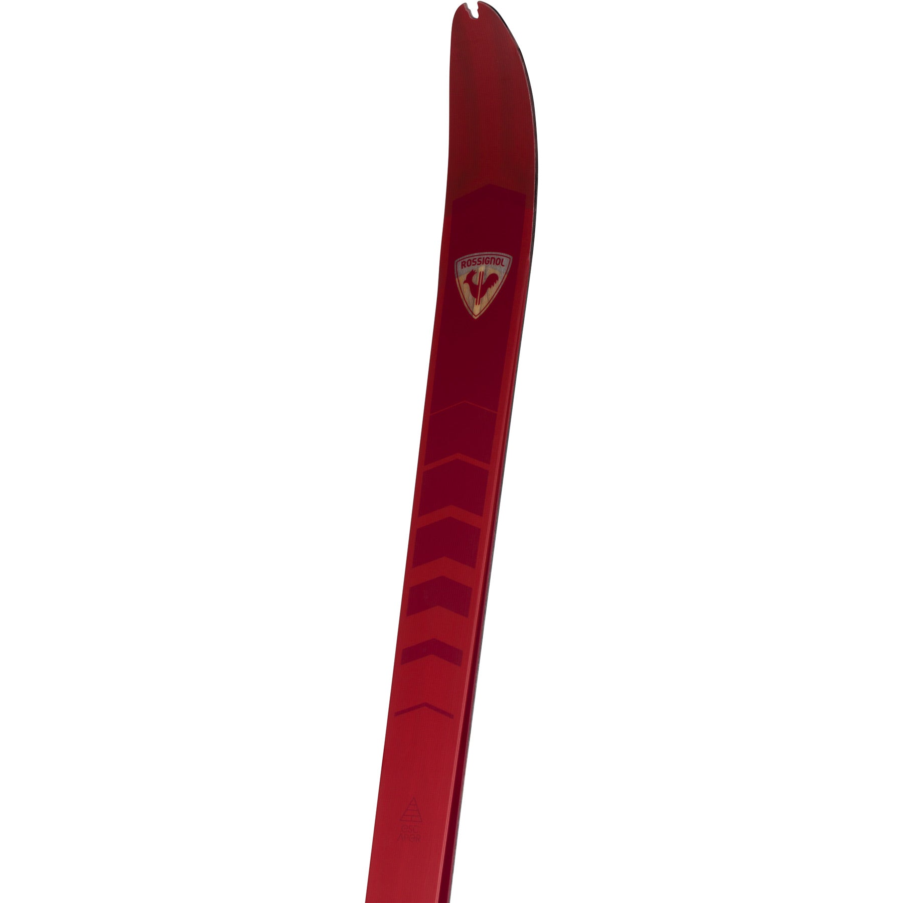 Rossignol BC 80 Positrack Ski Mounted BC Auto | Boulder Nordic