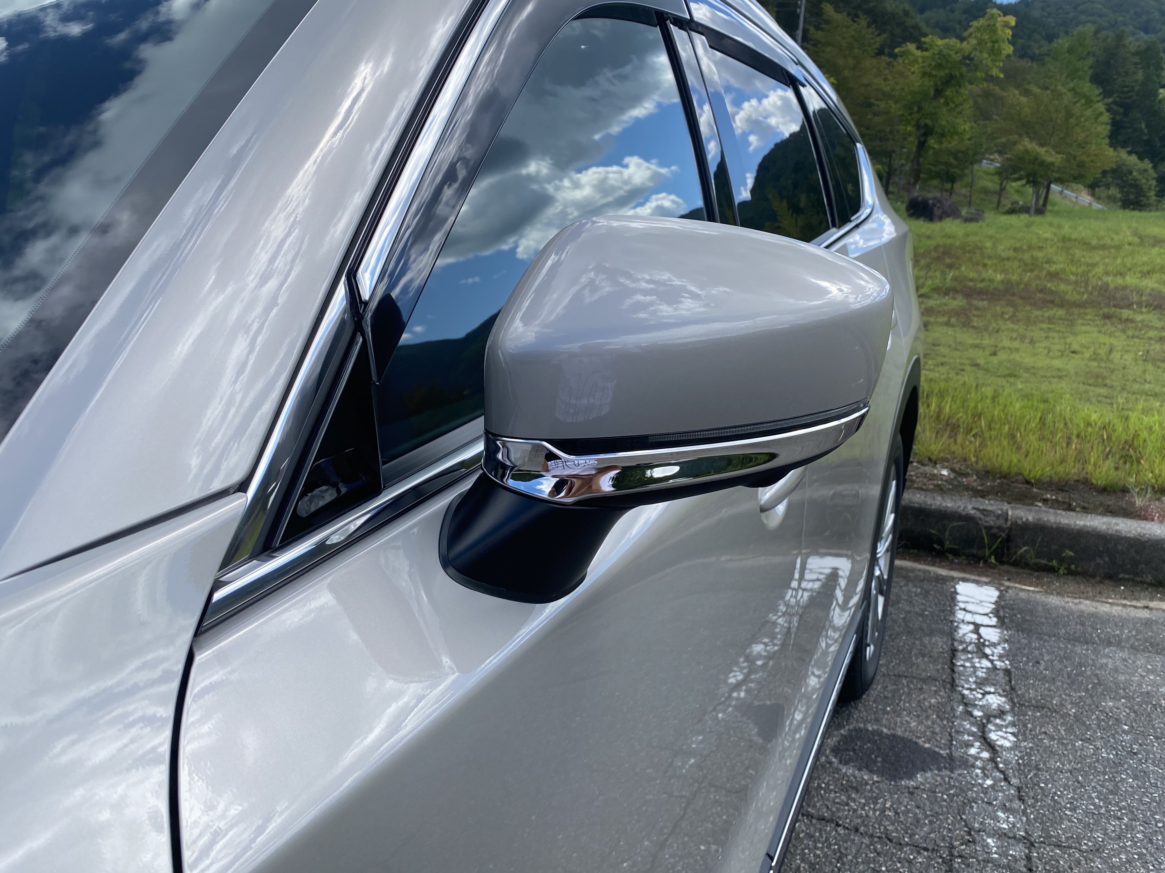 オーストラリア純正バグガードで、ギラつき過ぎす纏めました『MAZDA CX