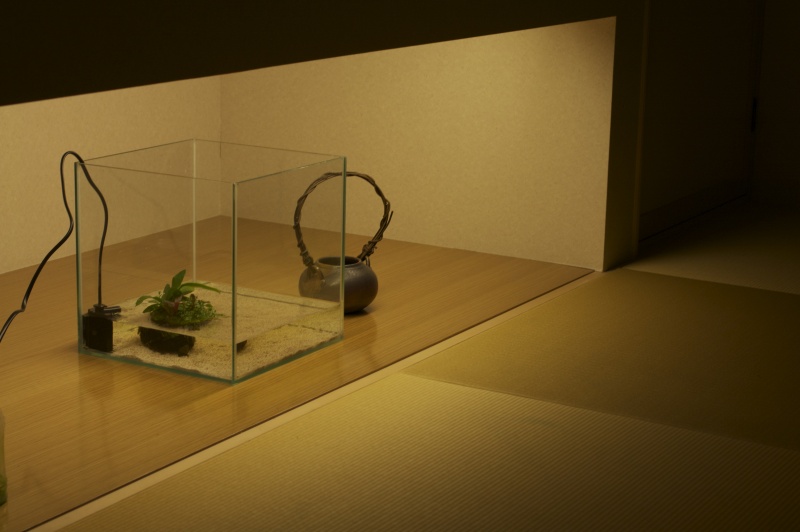 和室に侘び草ベースを設置しました | アクアリウム | LIFE@