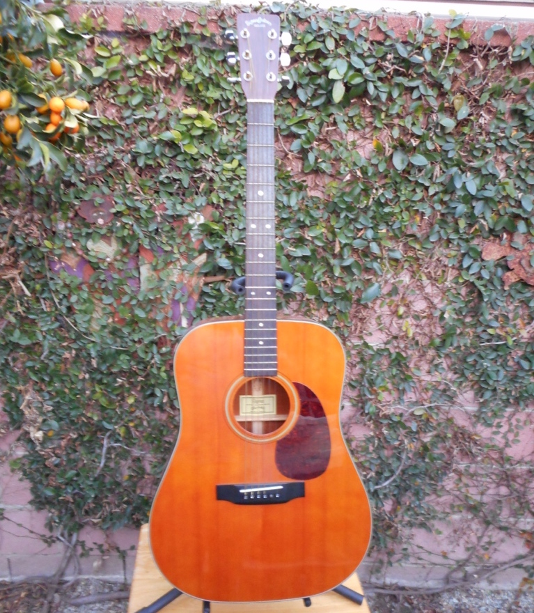 Rex and the Bass: 1990s Sigma SDM-18 Acoustic Guitar Review