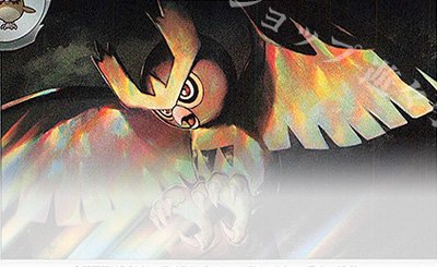 TD ポケパッド(ノーマル仕様) 販売 | [MC] スタートデッキ100 バトル