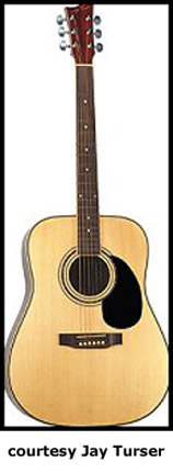 JAY TURSER JTA-67/NG for sale - Price and Used Value