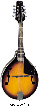 ARIA/ARIA PRO II Mandolins: AM Series Models