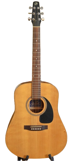 SEAGULL SM6 (M6 GLOSS) for sale - Price and Used Value