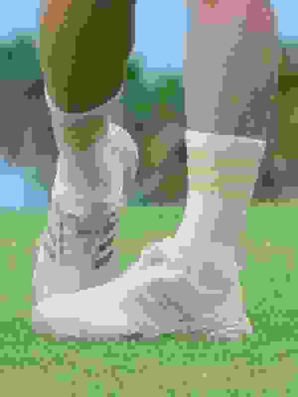 adidas Golf 【アディダス公式】