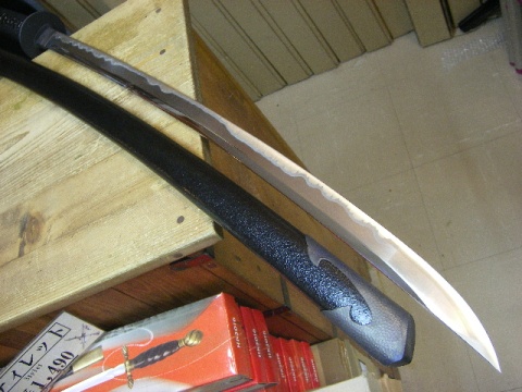t20081030b.JPG