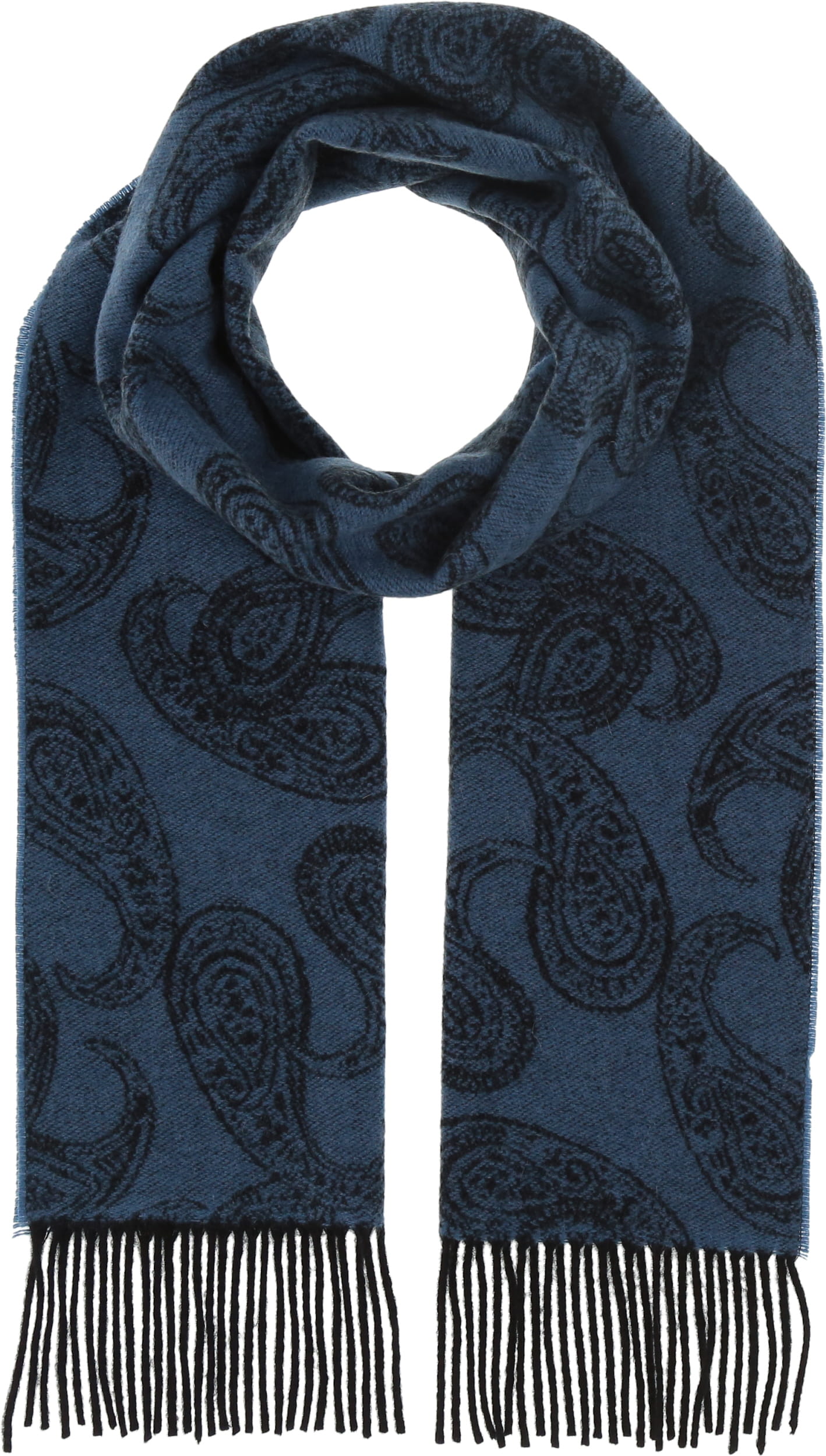 Paisley Cashmere Woven Scarf – FRAAS Canada
