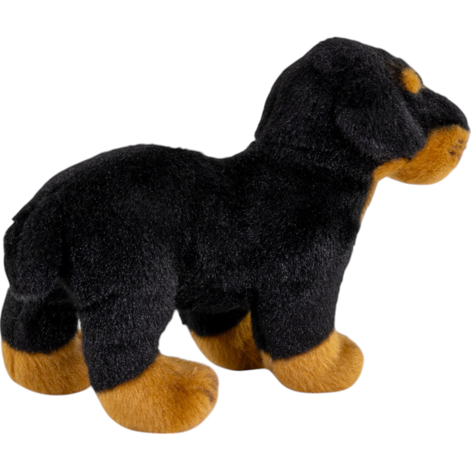Rottweiler standing | Carl Dick GmbH