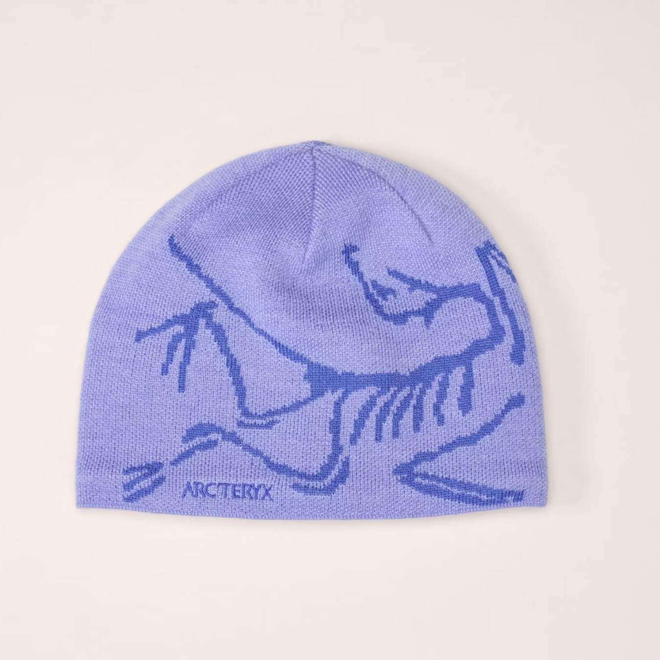 ARC'TERYX】ロゴグラフィック ☆ ニット帽 BIRD HEAD (ARC'TERYX