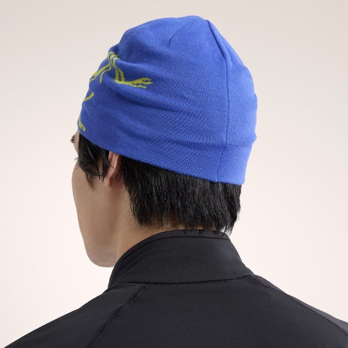 大人気ビーニーのライト版登場】Arc'teryx ニット帽 ロゴ 春夏 (ARC