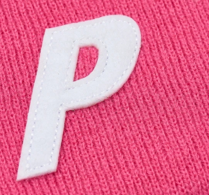 ☆24AW☆Palace P Nein Cuff Beanie (Palace Skateboards/ニット