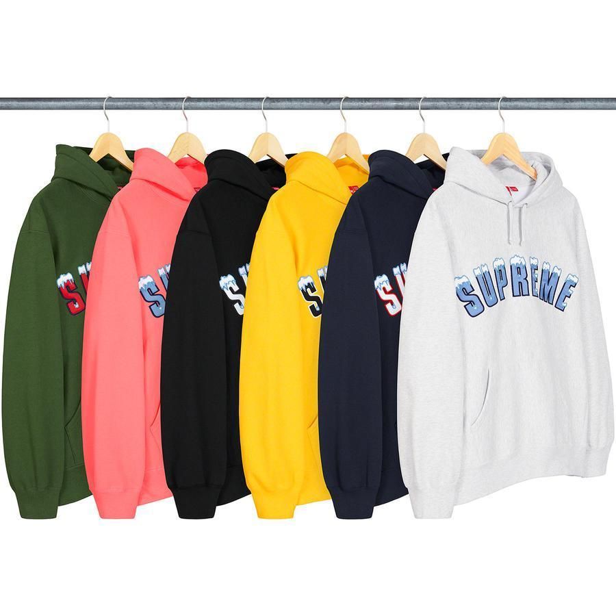 FW20 Supreme Icy Arc Hooded Sweatshirt シュプリーム パーカー