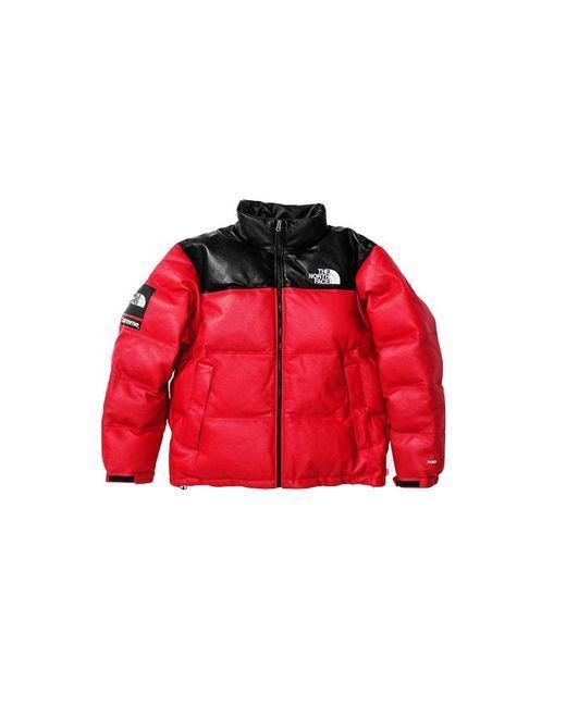 Supreme The North Face Leather Nuptse Jacket シュプリーム (Supreme