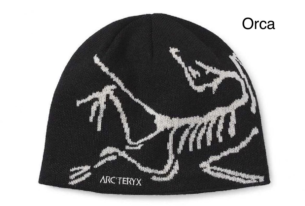 ☆大人気☆ARC'TERYX Bird Head Toque (ARC'TERYX/ニットキャップ