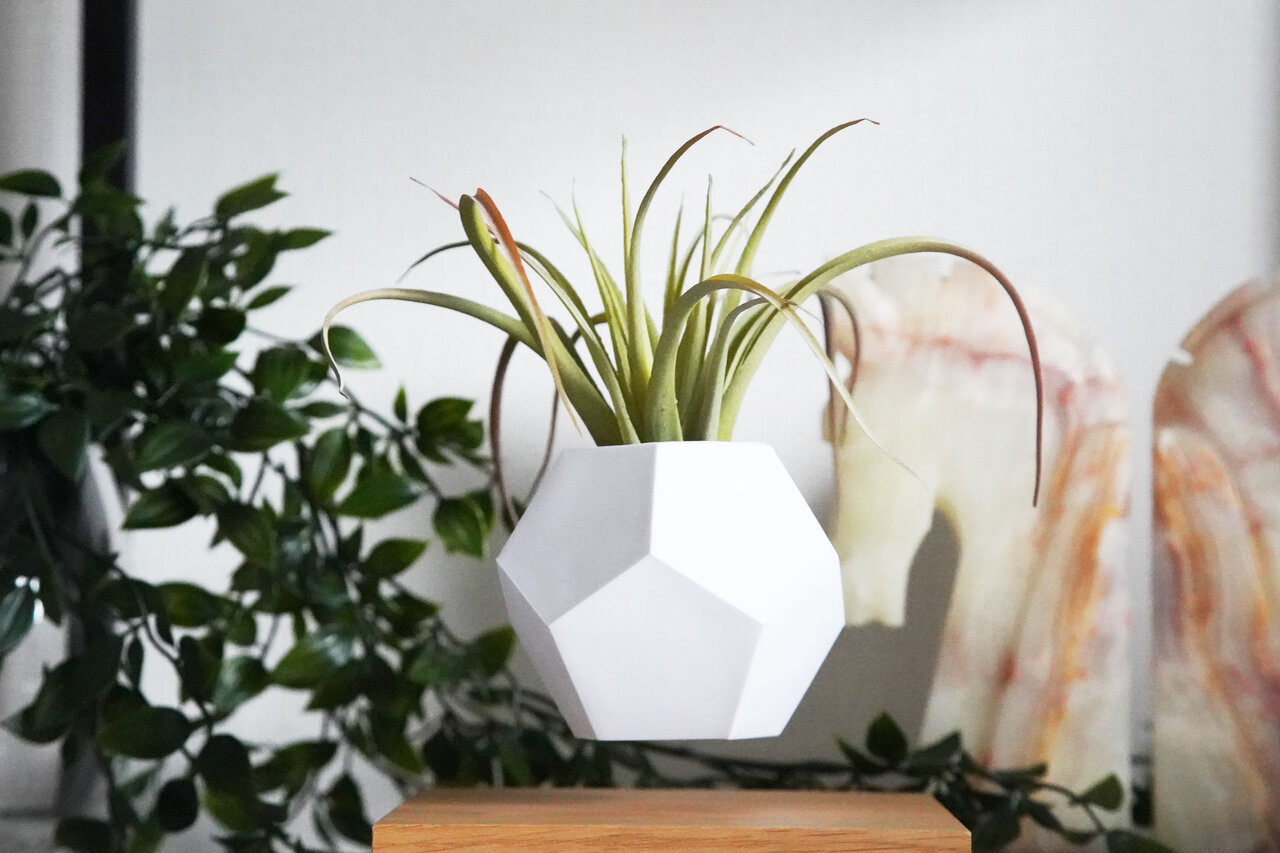 植物を宙に浮かべて育てることができるプランター「LYFE」｜ZOOM LIFE