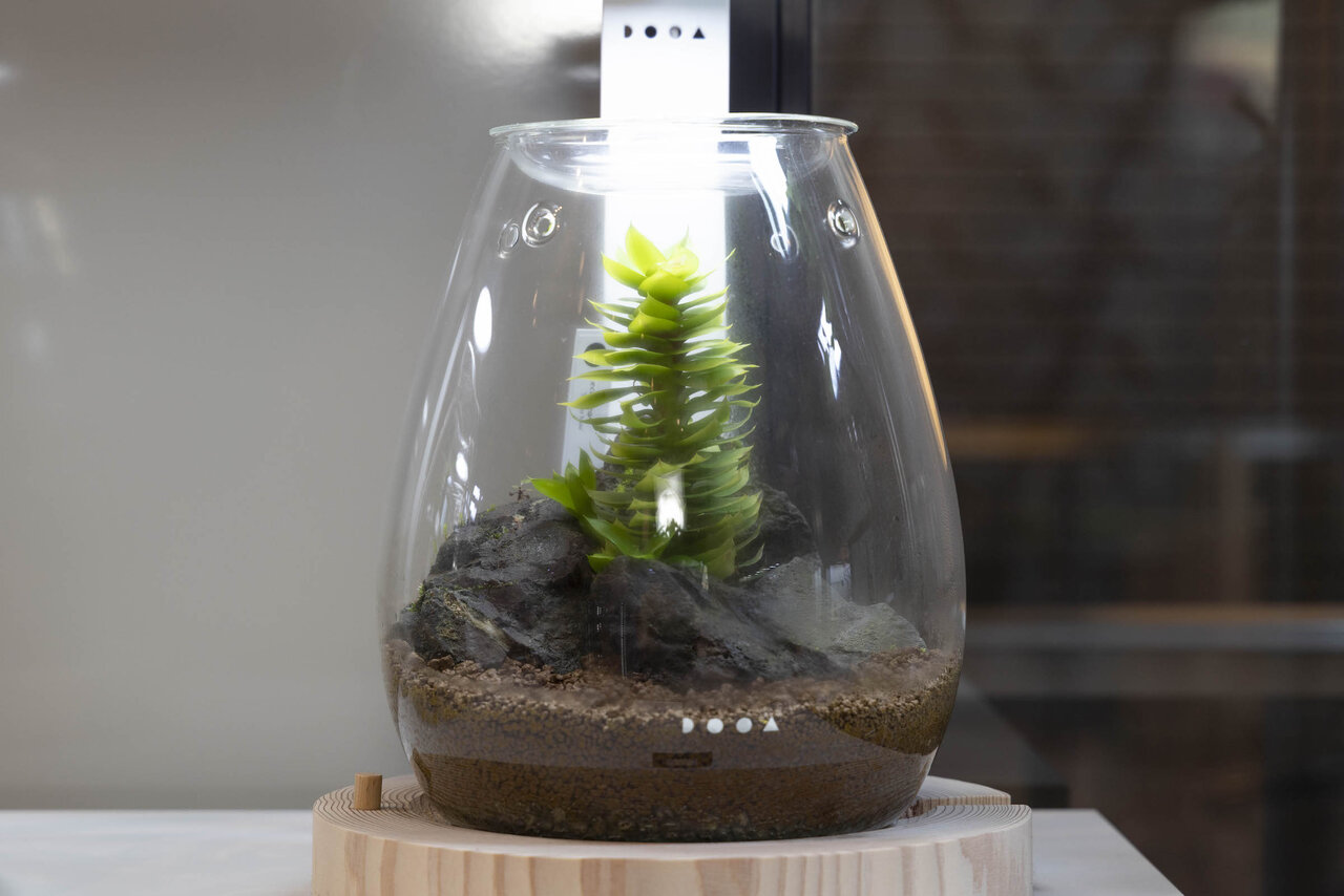 美しい植物を飾り、愛でる。癒しの箱庭ADAの「DOOA」｜ZOOM LIFE