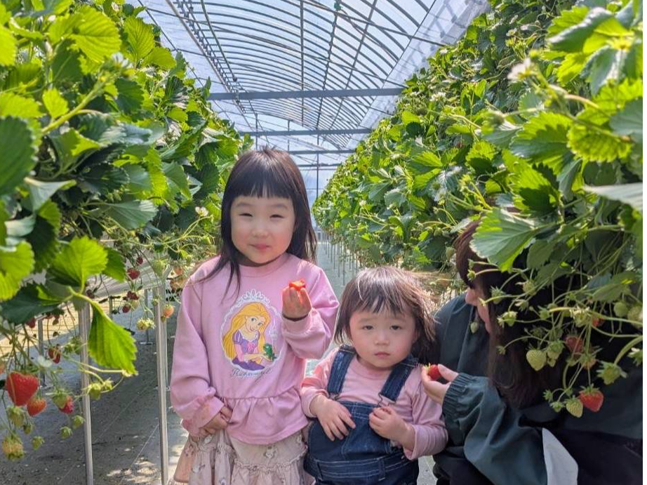 4品種栽培♪／徳島市初の観光農園♪2段栽培でお子様も楽しめる！自由に