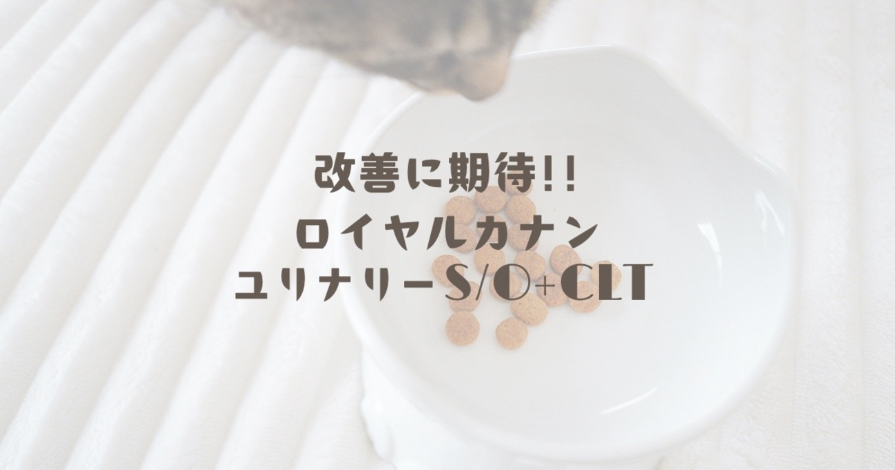 改善に期待!!ロイヤルカナン「ユリナリーS/O+CLT」 - のれぺん