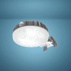 Patriot Lighting® Gray LED Dusk-to-Dawn Outdoor Security Area