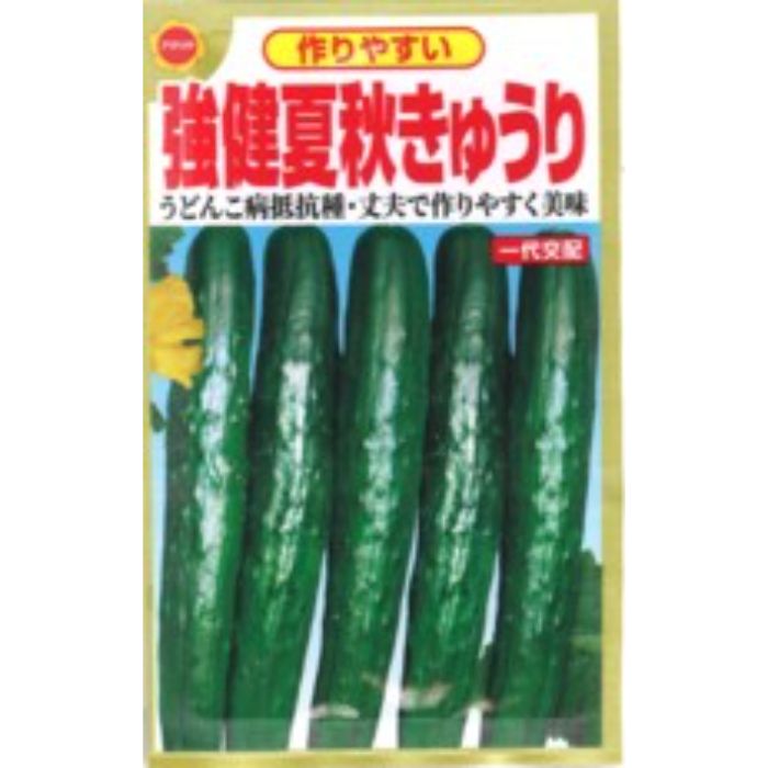 アタリヤ胡瓜 夏秋きゅうりの通販｜キュウリ｜野菜の種｜フラワー