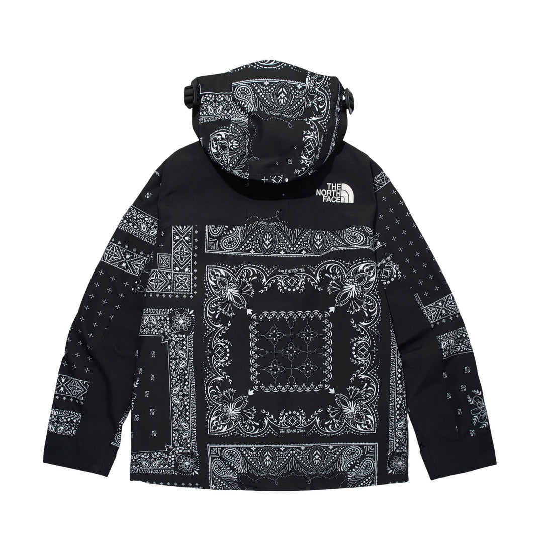 THE NORTH FACE Novelty Gore-Tex Mountain Jacket Asia Sizing