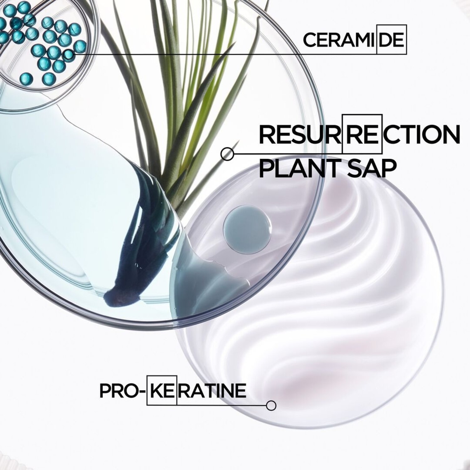 Kérastase | Resistance — Ciment Thermique - Industria Coiffure