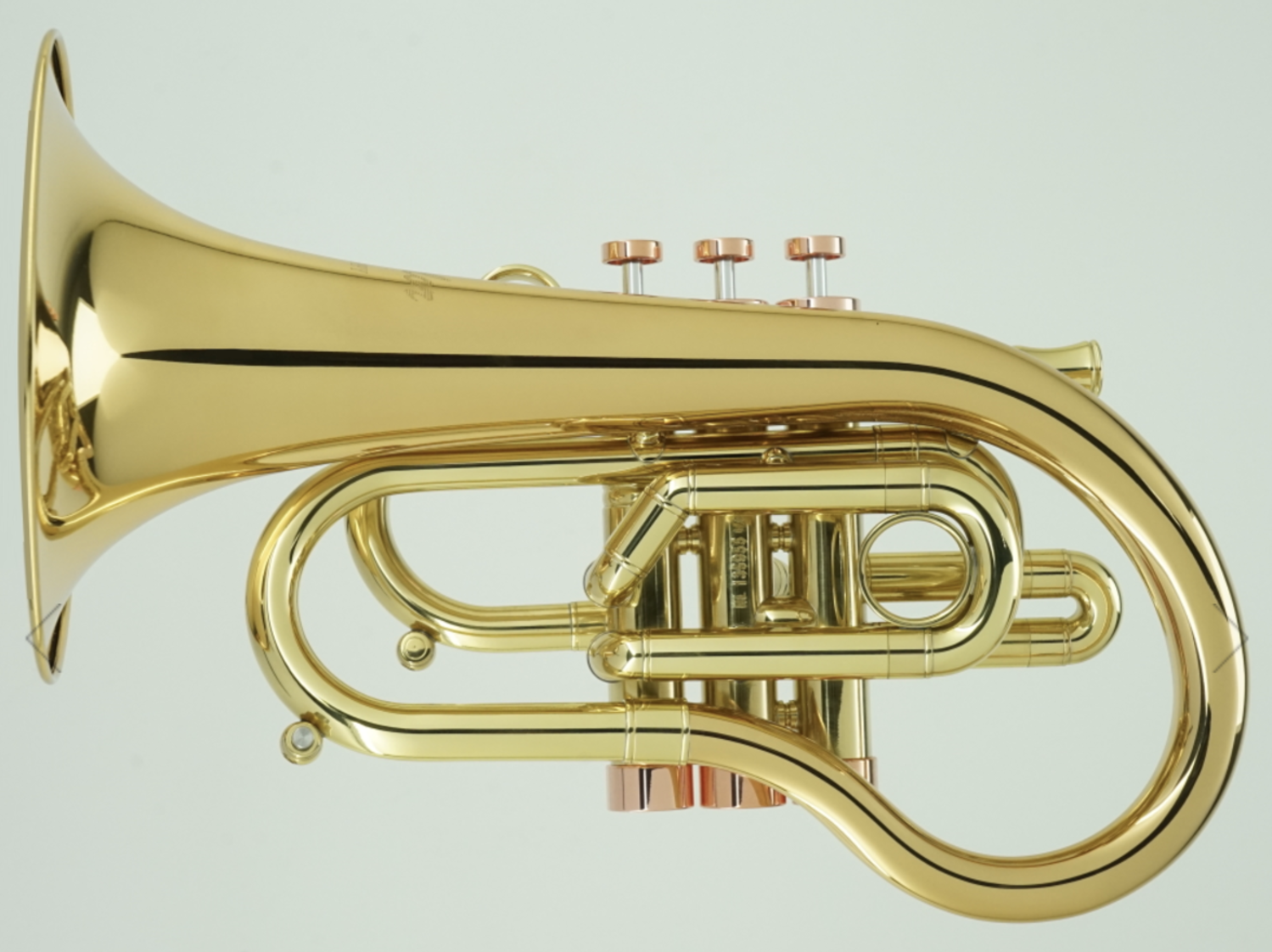 Caros Brass Taylor Phat Puppy-L - CarolBrass of the Rockies