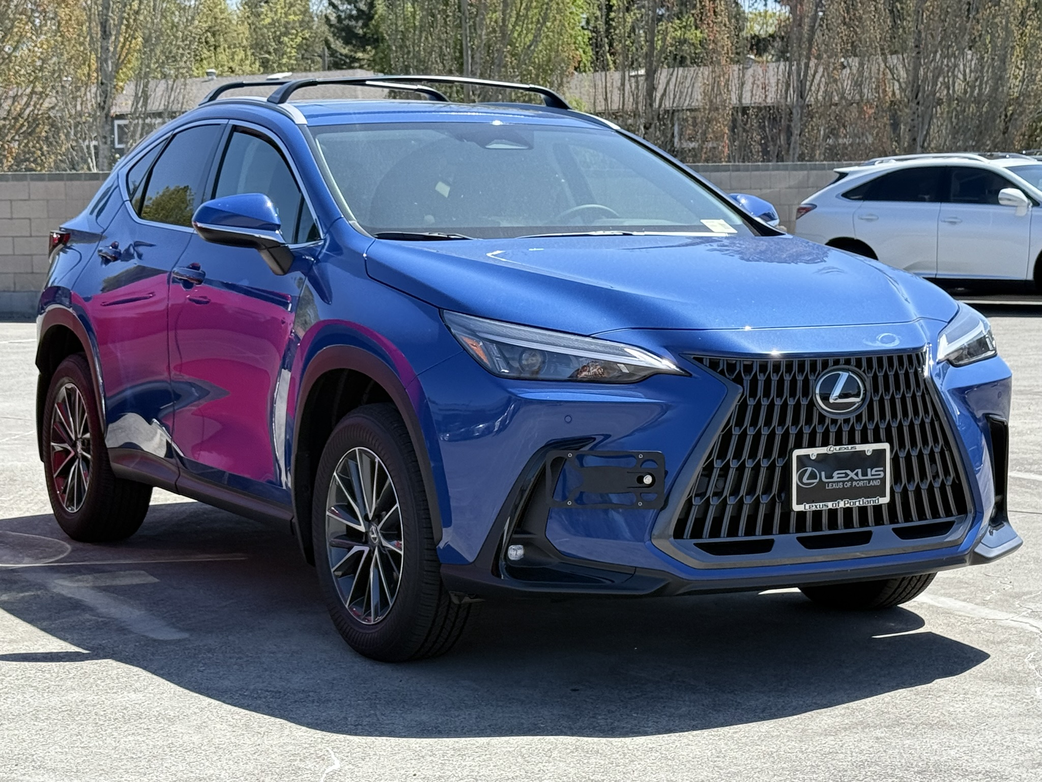 The Platypus License Plate Mount for Lexus NX AZ20 2022 to 2025