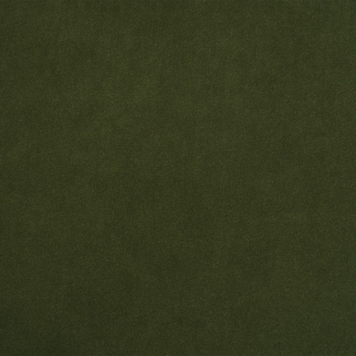 Olive Green : V036 - Yard - Jennifer Taylor Home