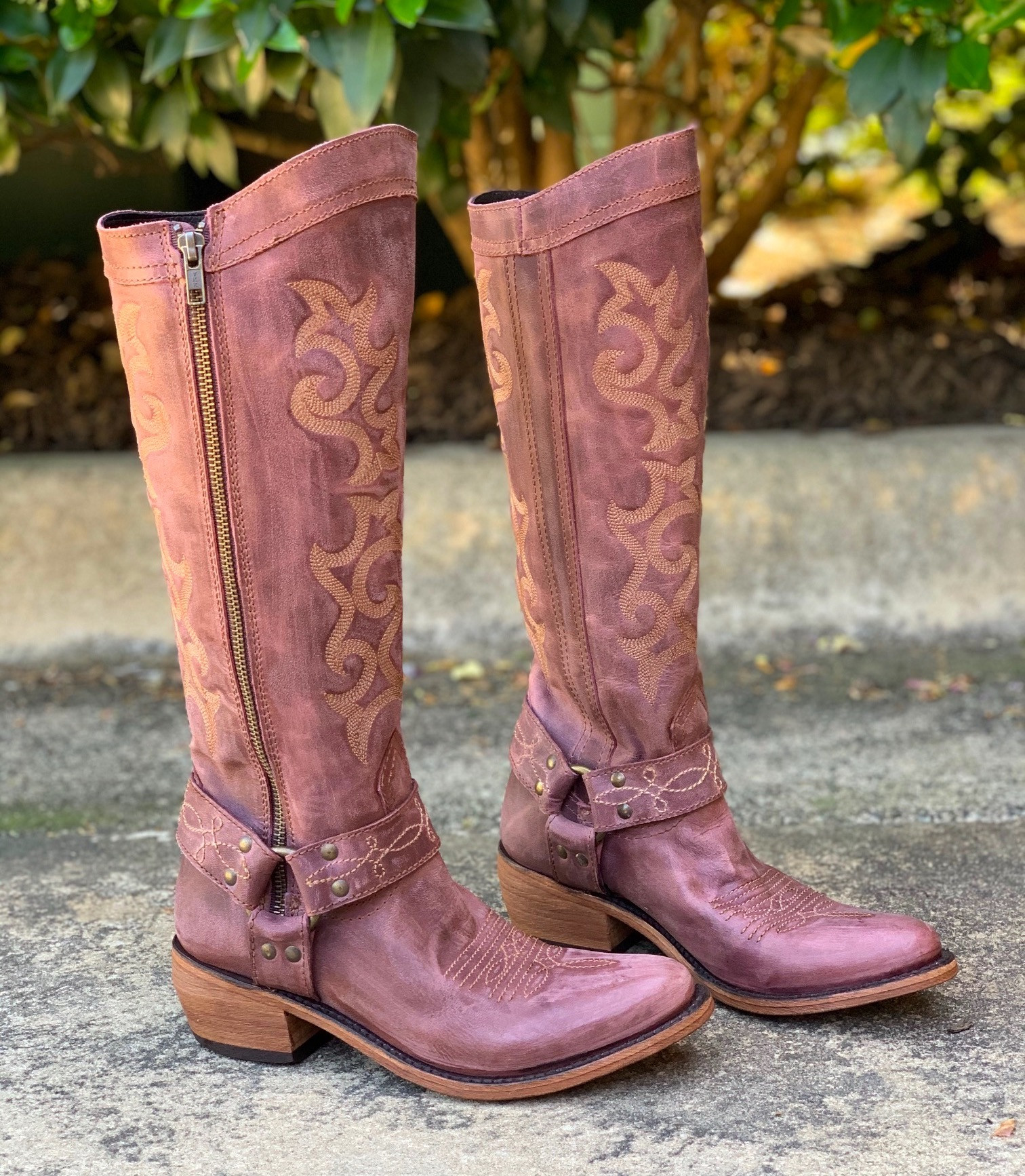 Liberty Black Biker America Violeta LB711135
