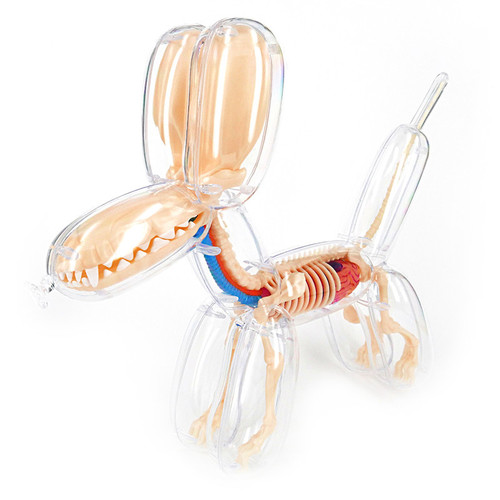 Balloon Dog Anatomy : Clear - myplasticheart