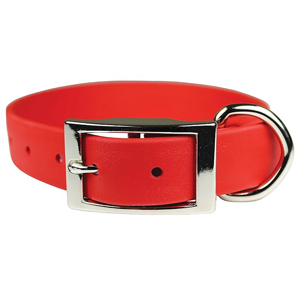 OmniPet Zeta Regular Dog Collar