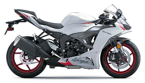 New 2025 Kawasaki Ninja ZX-10R KRT Edition Lime Green / Ebony