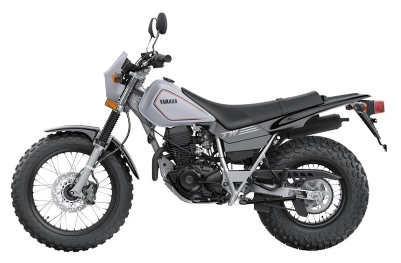 New 2025 Yamaha TW200, Belvidere IL | Specs, Price, Photos