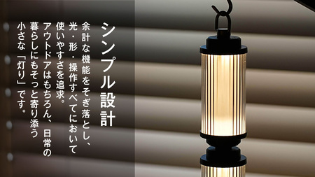LED ランタン 38灯 ASINOSTANDSET Dリング付き ホワイト 3点セット
