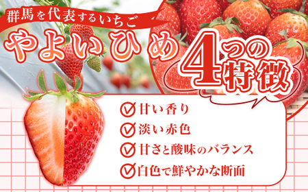 群馬県やよいひめ（いちご）約1.6kg【3年連続金賞受賞！】 | 群馬県