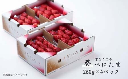 いちご べにたま 葵 260g×4パック | いちご | 埼玉県東松山市