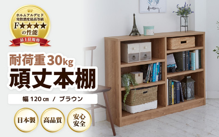 たっぷり安心して収納できる！「頑丈本棚」幅120cm ブラウン（ロー